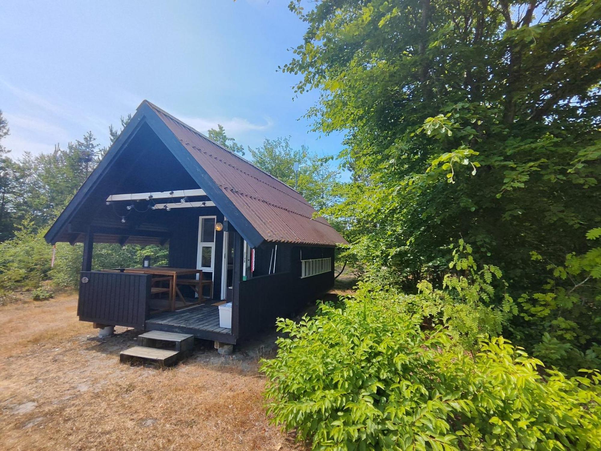 Tranum Klit Camping Og Hytteudlejning Brovst Ngoại thất bức ảnh